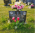 Eric Dixon family grave marker