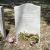 Ione Ralli Allen headstone